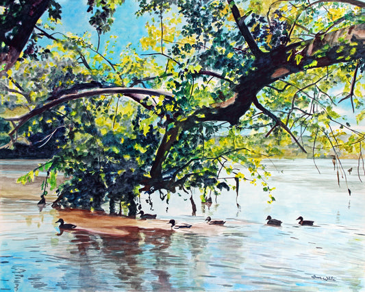 Original Painting Potomac River Watercolor River Bend Park Great Falls VA by Northern Virginia Artist Dave White