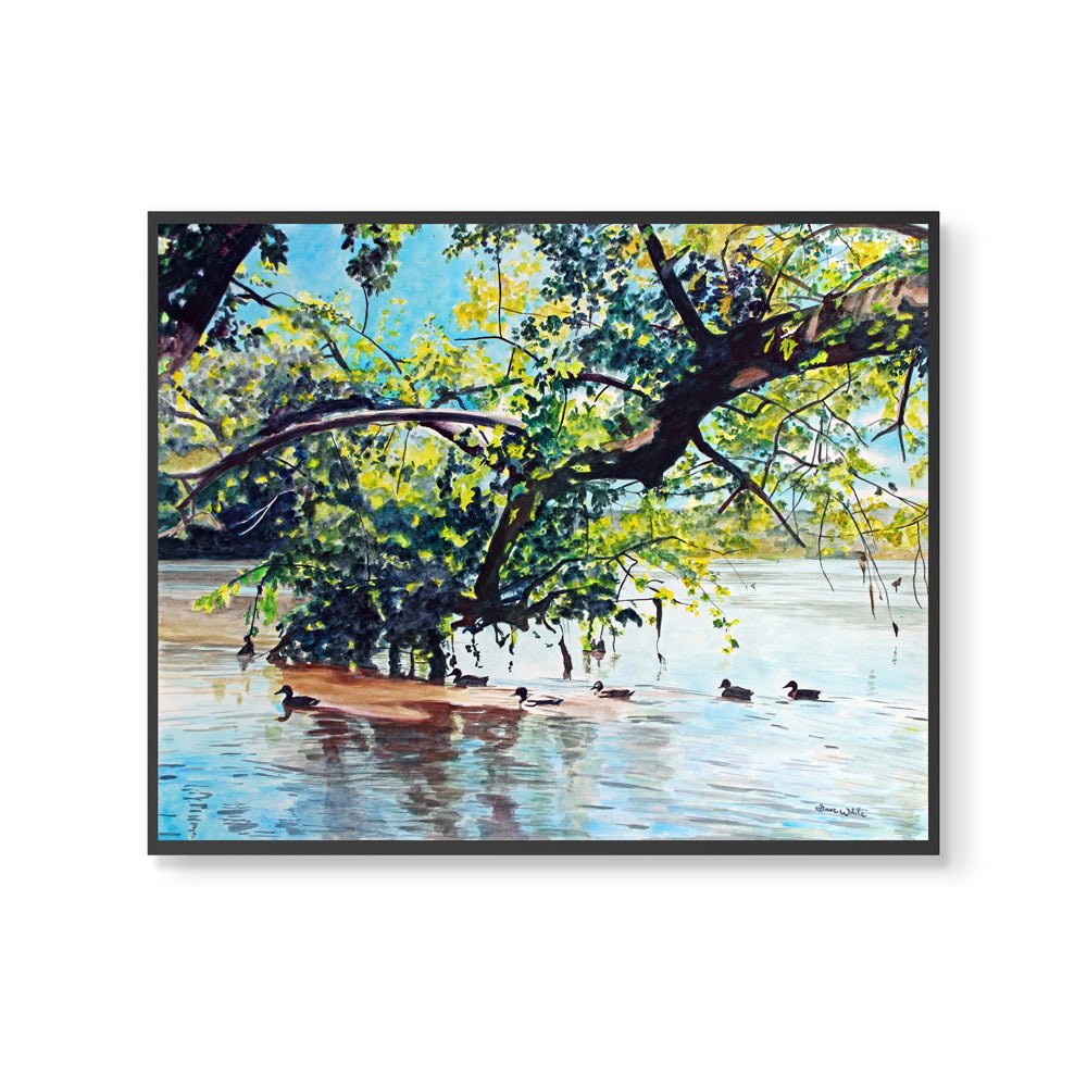 Potomac River Ducks Landscape Watercolor Painting - Dave White Artist