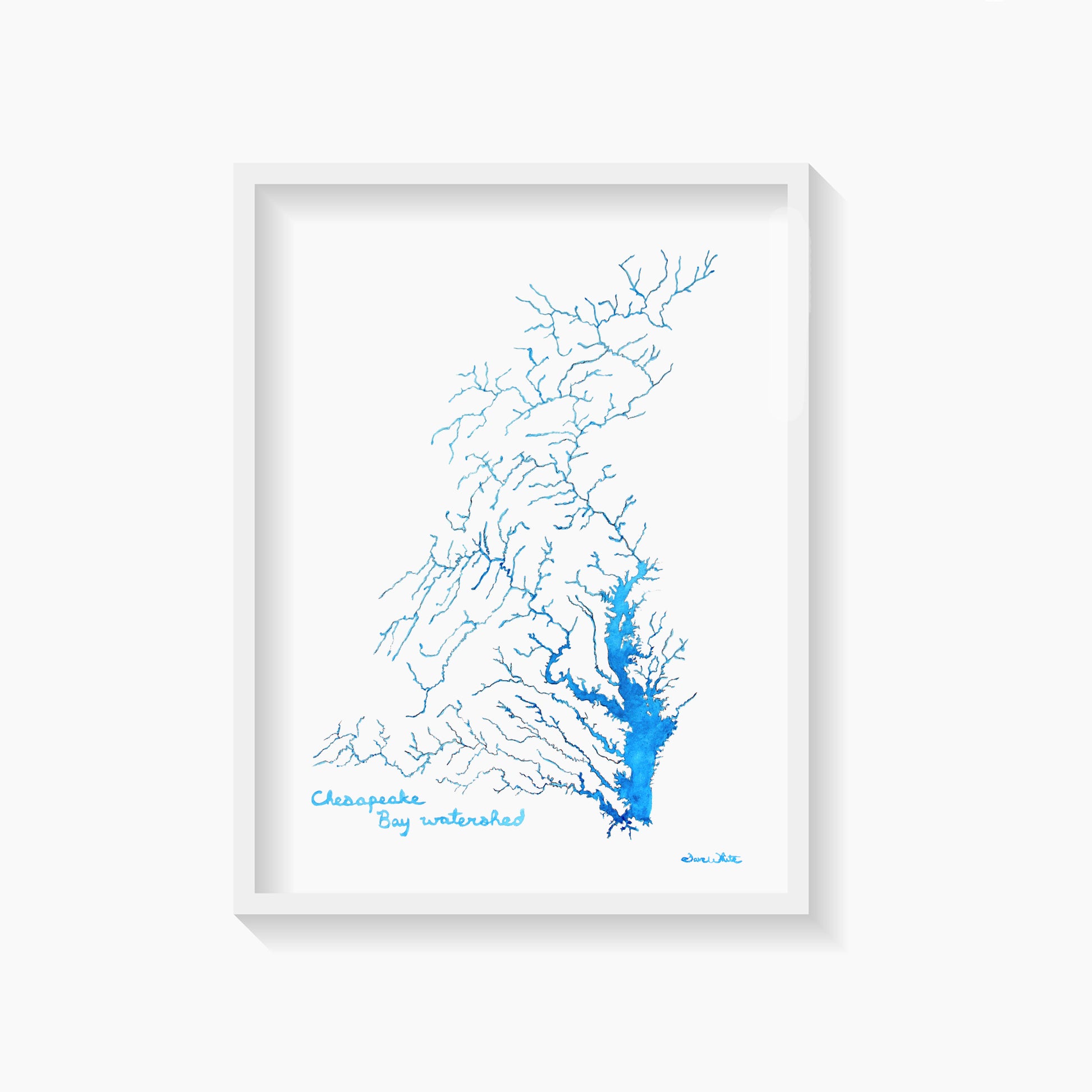 Chesapeake Bay Watershed watercolor painting art print by Artist Dave White