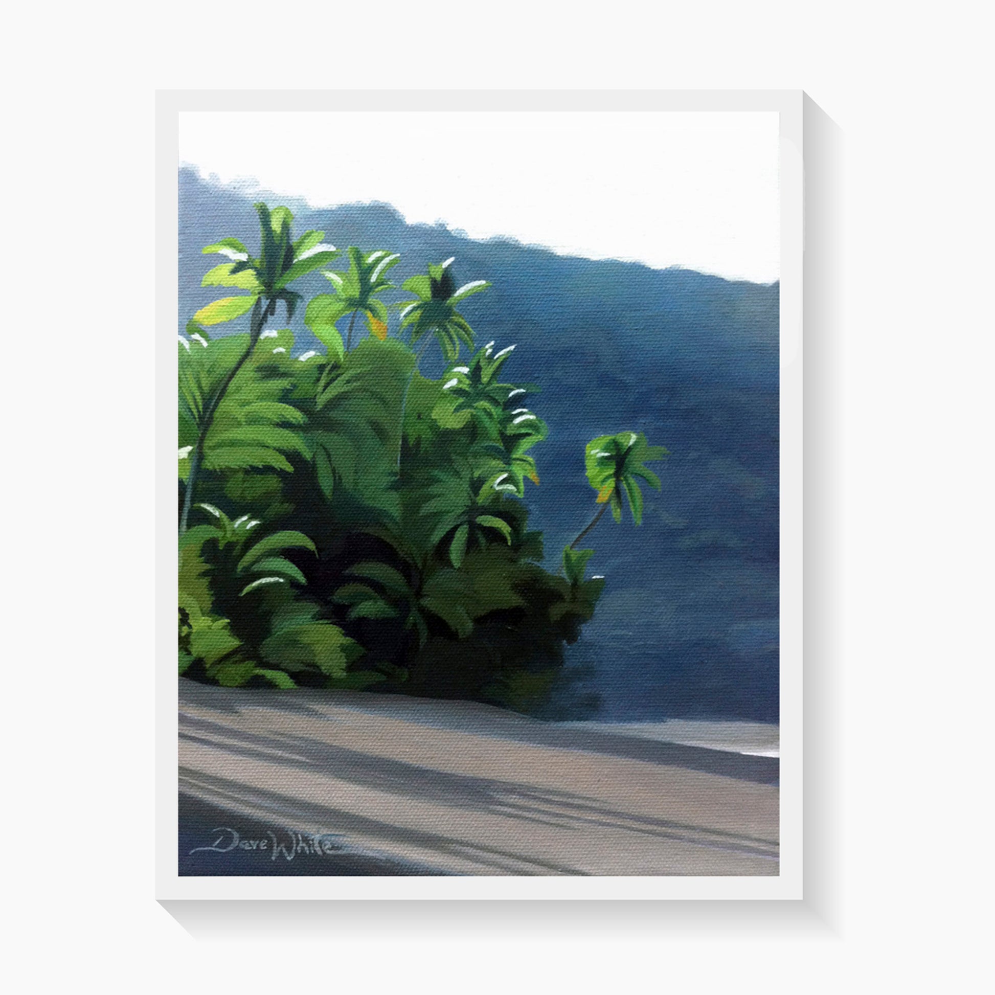 Corcovado Costa Rica Painting Art Print by Dave White