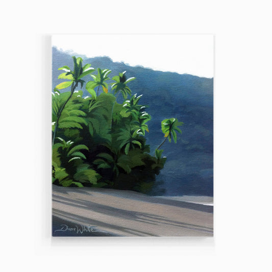 Corcovado Costa Rica Painting Canvas Art Print by Dave White