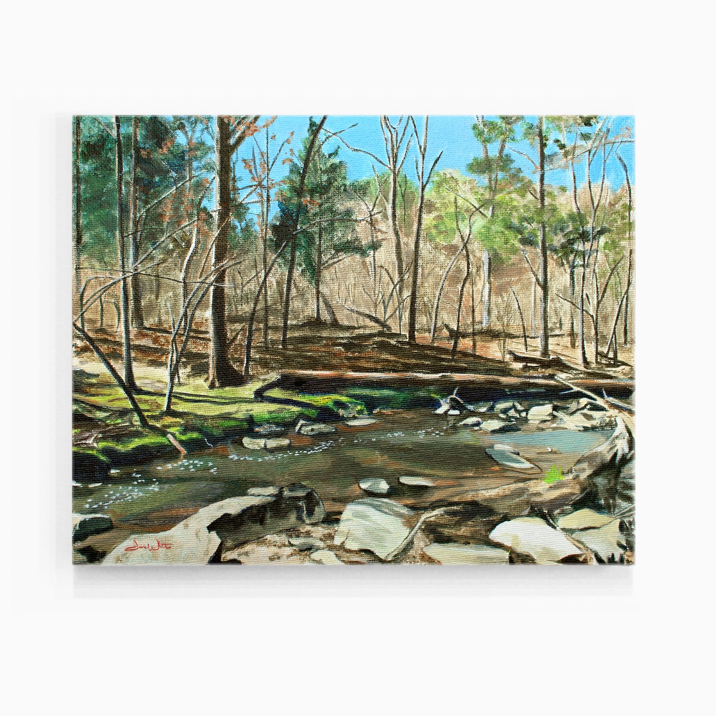 Herndon Virginia Canvas Art Print of Runnymede Park Painting by Artist Dave White