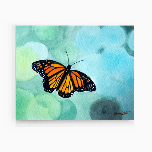 Monarch Butterfly Canvas Art Print by Artist Dave White
