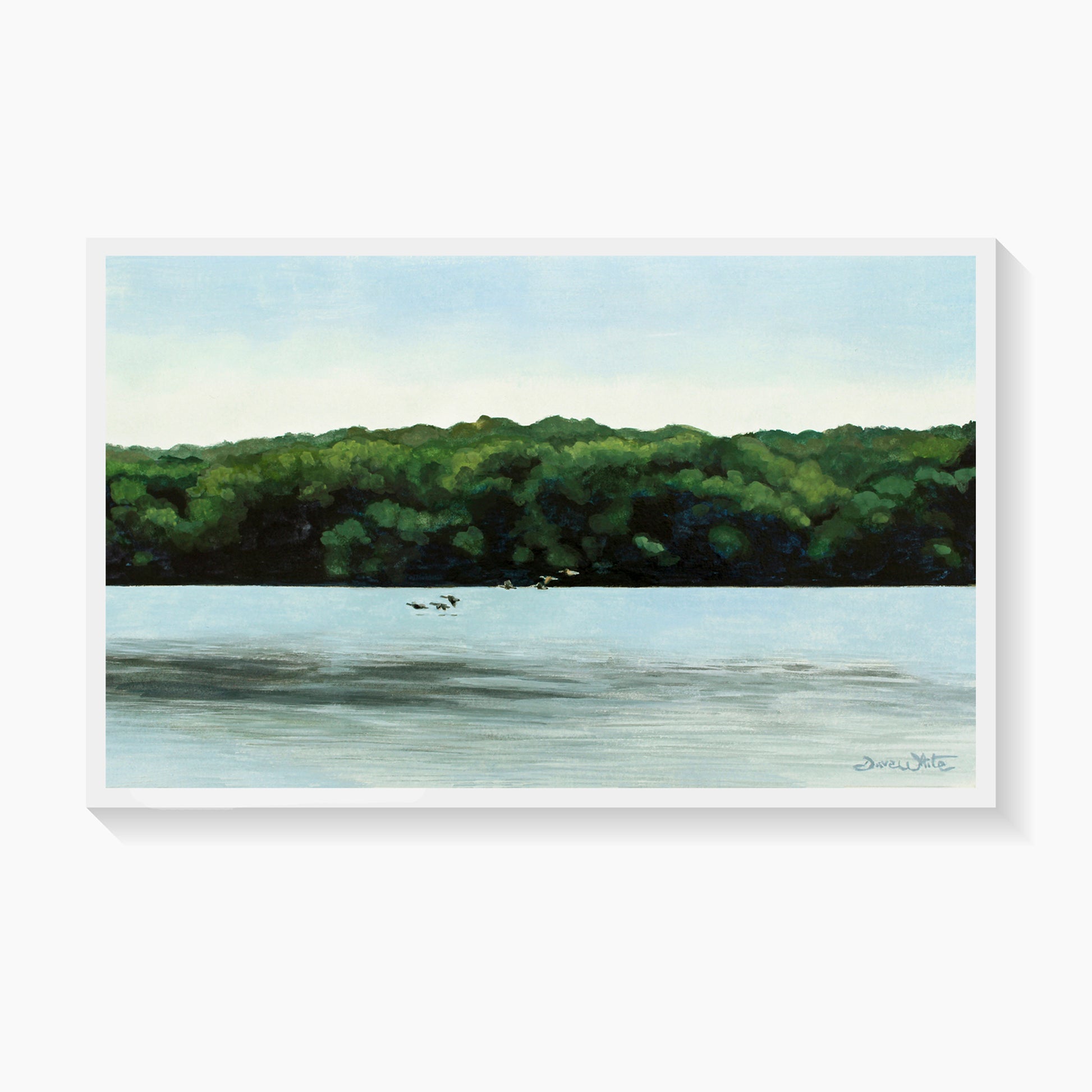 Potomac River Art Print of Geese by Artist Dave White