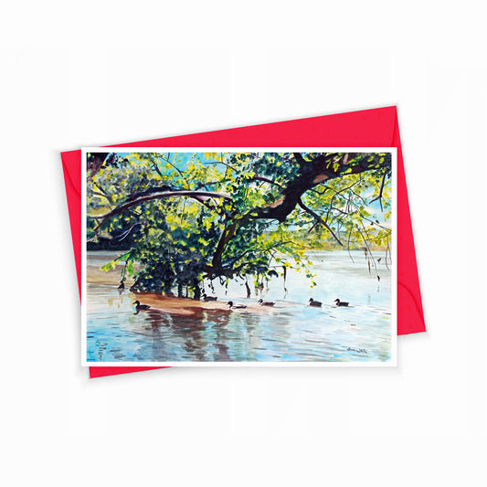Greeting Card Potomac River Ducks by Artist Dave White