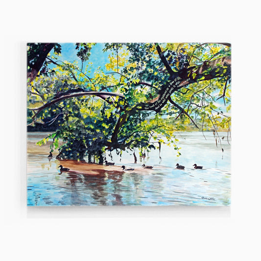 Potomac River Ducks Painting Art Print, Proverbs 11:30, The Fruit of the Righteous is a Tree of Life - Dave White Artist